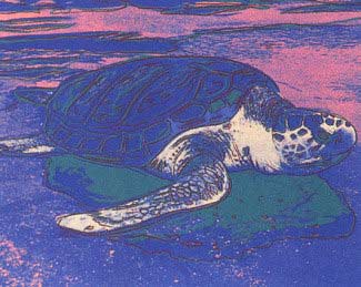 [Andy Warhol Turtle]