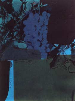 [Andy Warhol Grapes (Special Edition)]