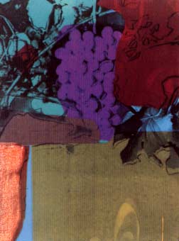 [Andy Warhol Grapes (Special Edition)]