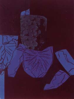 [Andy Warhol Grapes (Special Edition)]