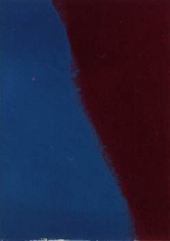 [Andy Warhol Shadows I]