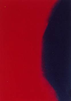 [Andy Warhol Shadows I]