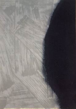 [Andy Warhol Shadows I]