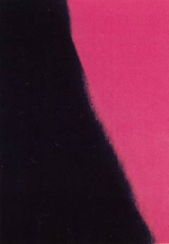 [Andy Warhol Shadows II]
