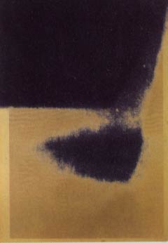 [Andy Warhol Shadows II]