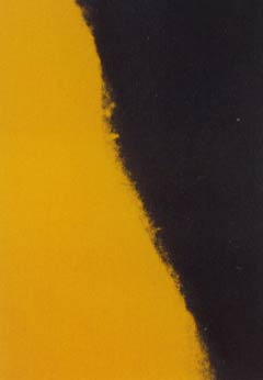 [Andy Warhol Shadows II]