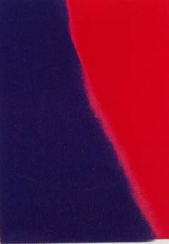 [Andy Warhol Shadows II]