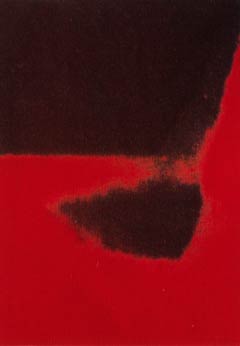 [Andy Warhol Shadows II]