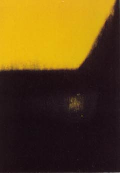 [Andy Warhol Shadows II]