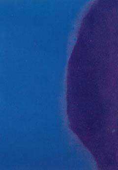 [Andy Warhol Shadows II]