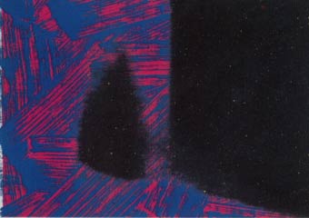 [Andy Warhol Shadows III]