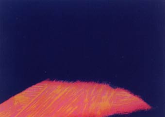 [Andy Warhol Shadows III]