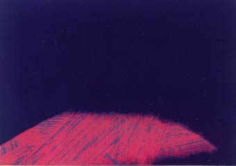 [Andy Warhol Shadows III]