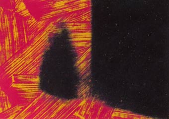 [Andy Warhol Shadows III]