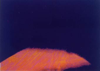 [Andy Warhol Shadows III]