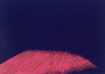 [Andy Warhol Shadows III]