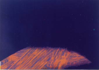 [Andy Warhol Shadows III]