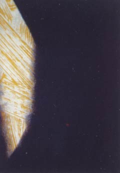 [Andy Warhol Shadows IV]