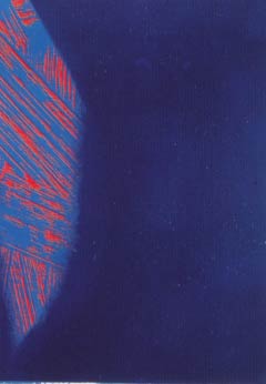 [Andy Warhol Shadows IV]