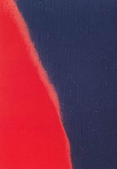 [Andy Warhol Shadows V]