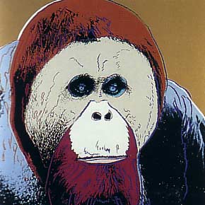 [Andy Warhol Endangered Spieces; Orangutan]