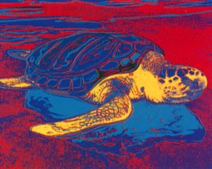 [Andy Warhol Turtle]