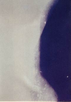 [Arman Violons sur la Plat]