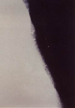 [Arman Violons sur la Plat]